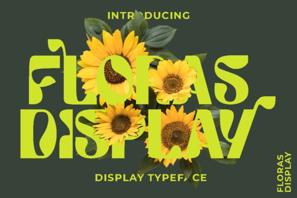 Floras Display: A Designer's Real-World Test